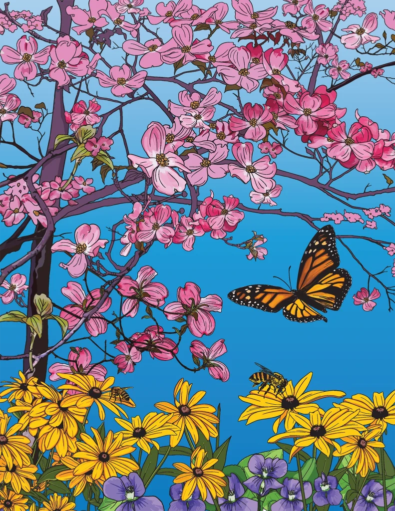 “ANGLES GARDEN” BY NIKKI MAY